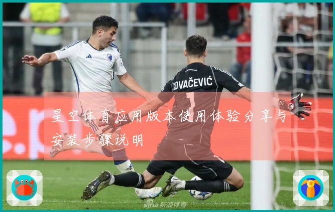 星空体育应用版本使用体验分享与安装步骤说明