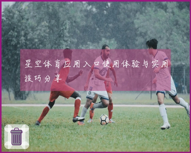 星空体育应用入口使用体验与实用技巧分享