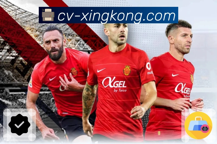 <strong>xingkong</strong>App 重点数据展示预览